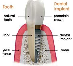 Dr. Joseph S. Levy: Excellence in Dentistry